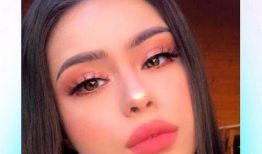 成人短视频在线播放,成人在线娱乐的崛起与影响