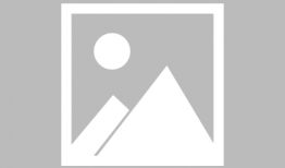 红雀漫画,描绘现代都市生活的多彩画卷